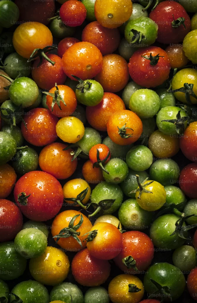tomates cerises
